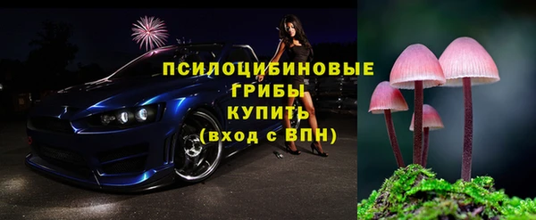 mdpv Саяногорск