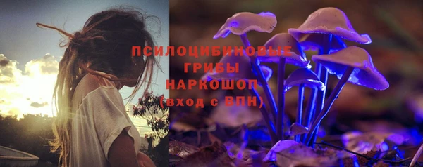 гашик Сатка