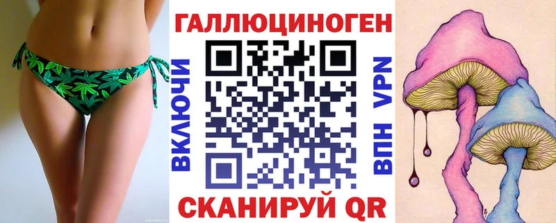 Псилоцибиновые грибы Psilocybe Динская
